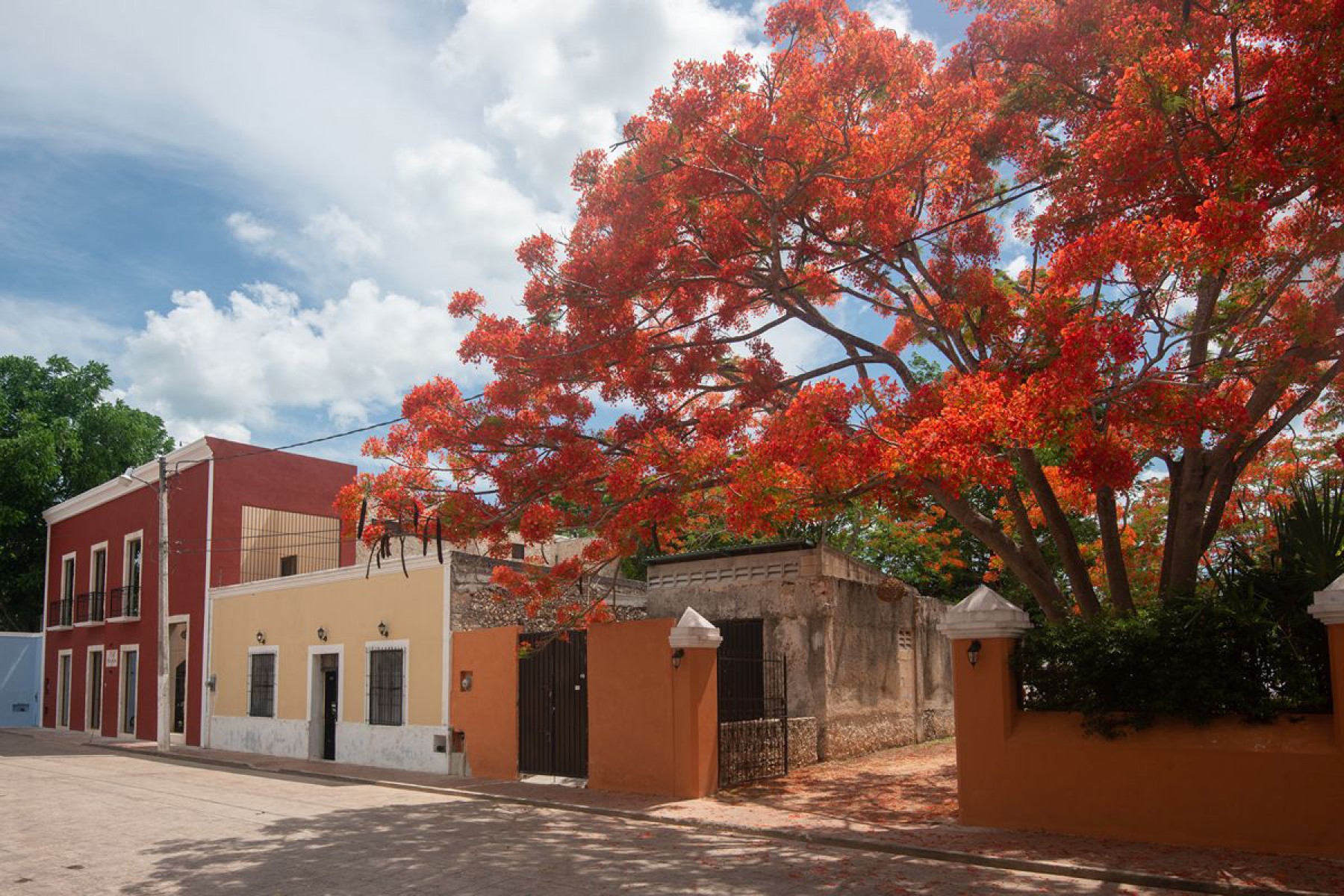 Posada San Juan